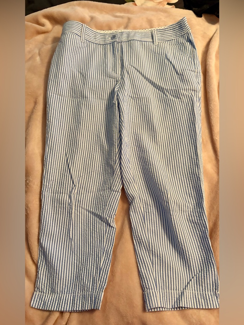 Blue and White Striped Cropped Pants